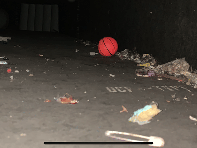 Healthy Home Professionals