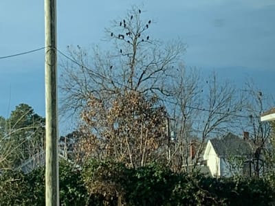 Henderson Heat & Air Inc