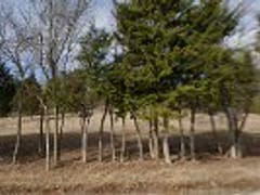 Hendricks Heating Air Conditioning