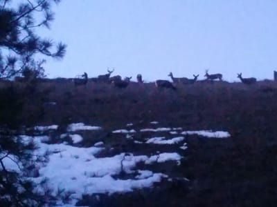 High Efficiency Heating & Air