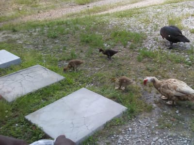 High Point Refrigeration & Air Conditioning Company