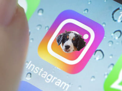 Hillside Oil Heating & Cooling