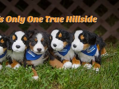 Hillside Oil Heating & Cooling