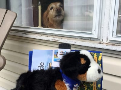 Hillside Oil Heating & Cooling