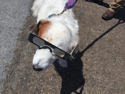 Howard Heating & Air Inc