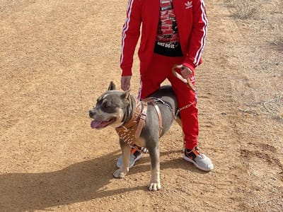 Husky Refrigeration HVAC & Mechanical, LLC