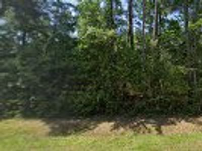 HVAC Spring Air Conditioner Expert