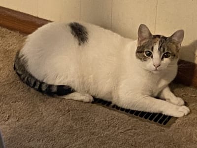 Independence Heating and Air, Inc.