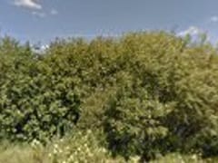 Independence Heating & Cooling