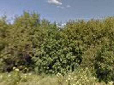 Independence Heating & Cooling