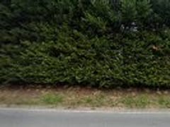 Indoor Air Solutions