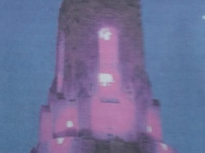 Indoor Air Specialist