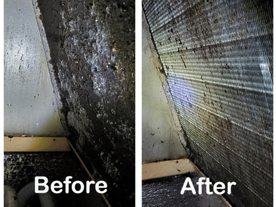 Indoor Air Specialist