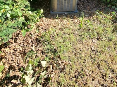 Integrity Heating and Air LLC