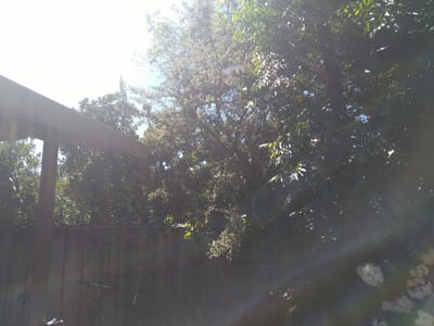 Intuitive Climate Control, Inc.