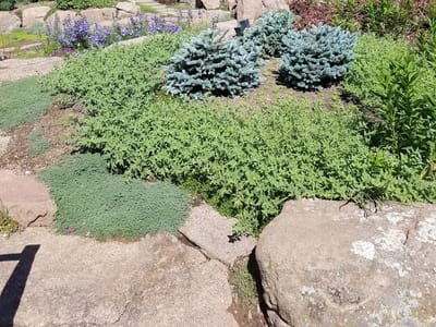 IQ Heating & Air Conditioning