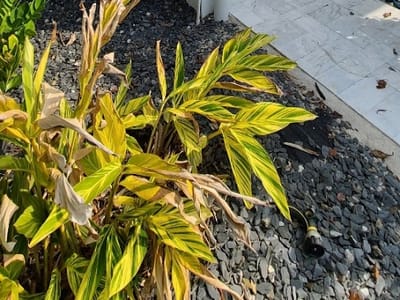 IRVING THE AC MAN LLC