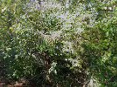 J.A. Binkley and sons LLC