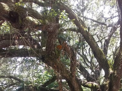 Jared's Air Conditioning & Heating