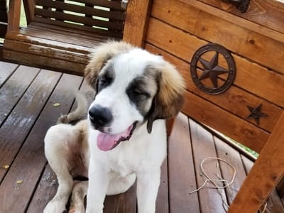 Joe Cool's Cooling & Heating