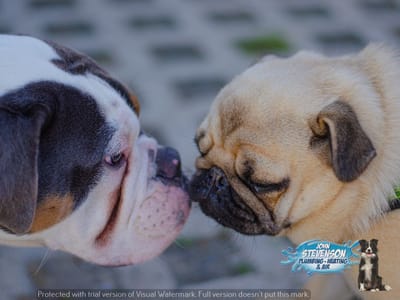 John Stevenson Plumbing, Heating & Air Conditioning, Inc.