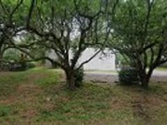 Johnson Controls Inc.