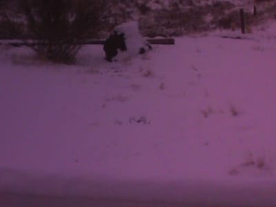 Johnstone Supply Albuquerque