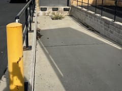 Johnstone Supply Hamilton