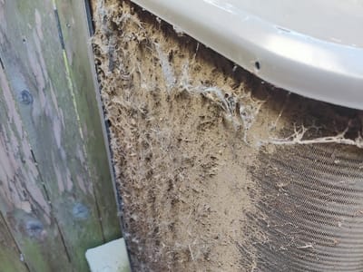 Jolly Brothers Services