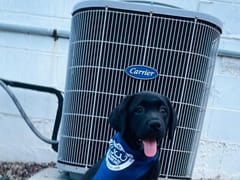 Joseph H Roberts Inc