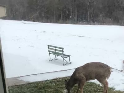 Kal Heating & Cooling