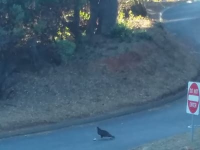 Kelly Ridge Heating & Air Conditioning