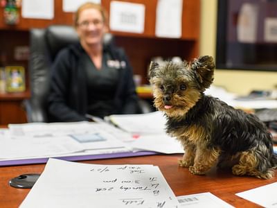 Kelly Scott One Hour Air Conditioning and Heating