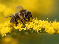 Kennedy Air Conditioning