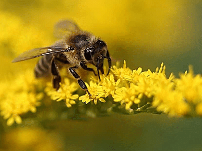 Kennedy Air Conditioning