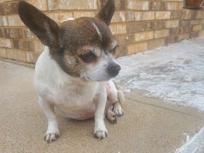 Kenny Judd Air Conditioning
