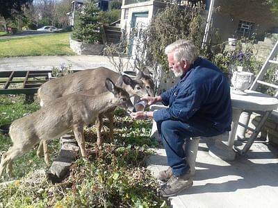 Kiefer Heating & Air Conditioning, LLC