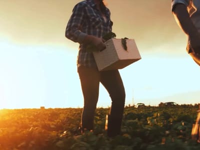 Kieffer’s Heating & Cooling v2.0