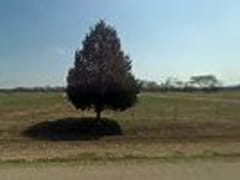 Kiene Heat & Air Inc