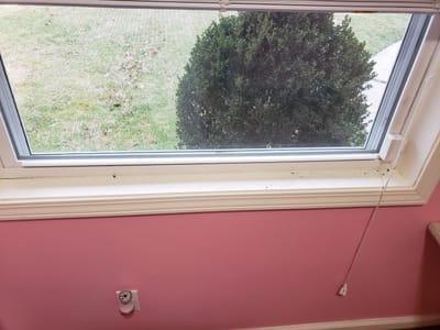 Knochelmann Service Experts