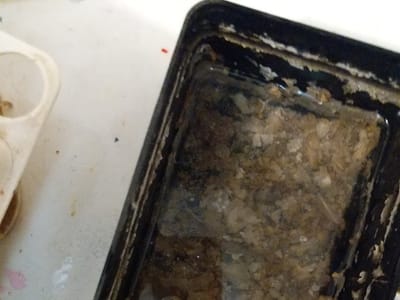 Koch & White Heating & Cooling Inc