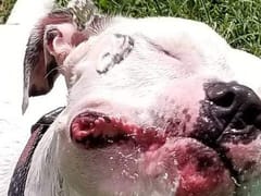 Kovack Mechanical, Inc.