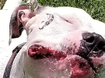 Kovack Mechanical, Inc.