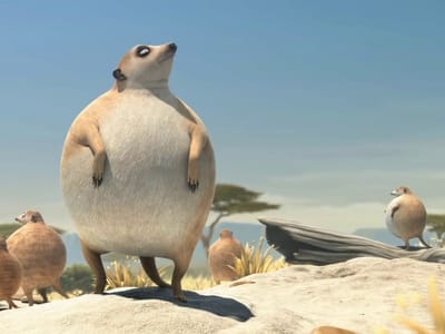 Krane Heating and Cooling