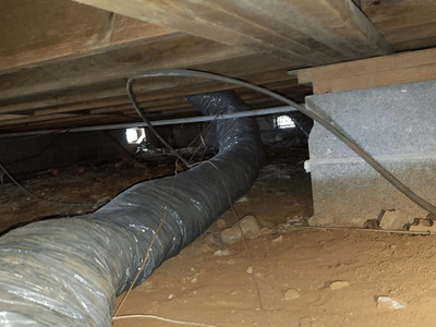 KY Building Science Specialist LLC