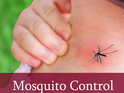 Lake Norman Pest Control