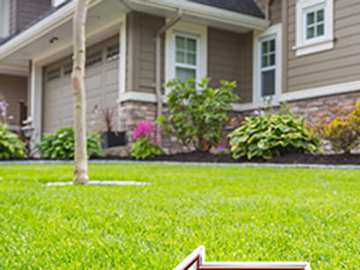 Lake Norman Pest Control