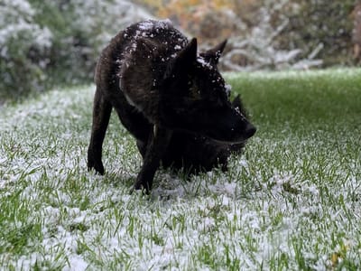 Lakeside Heating & Air Conditioning