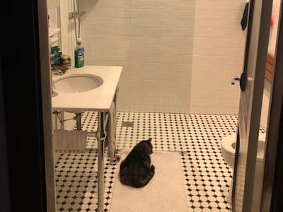 LaMattina's Plumbing & Heating