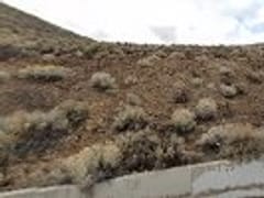 Lambs Heating & Air Inc